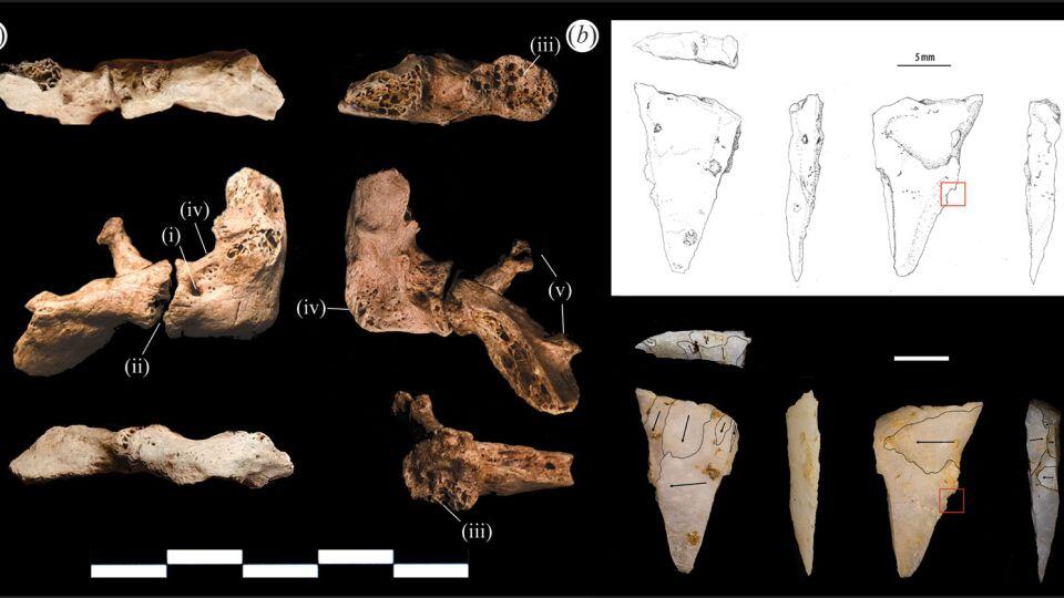 Ice Age Murder Mystery: Quartz Weapon Drama