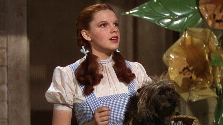 AI Wizard of Oz at Sphere: What were they thinking?