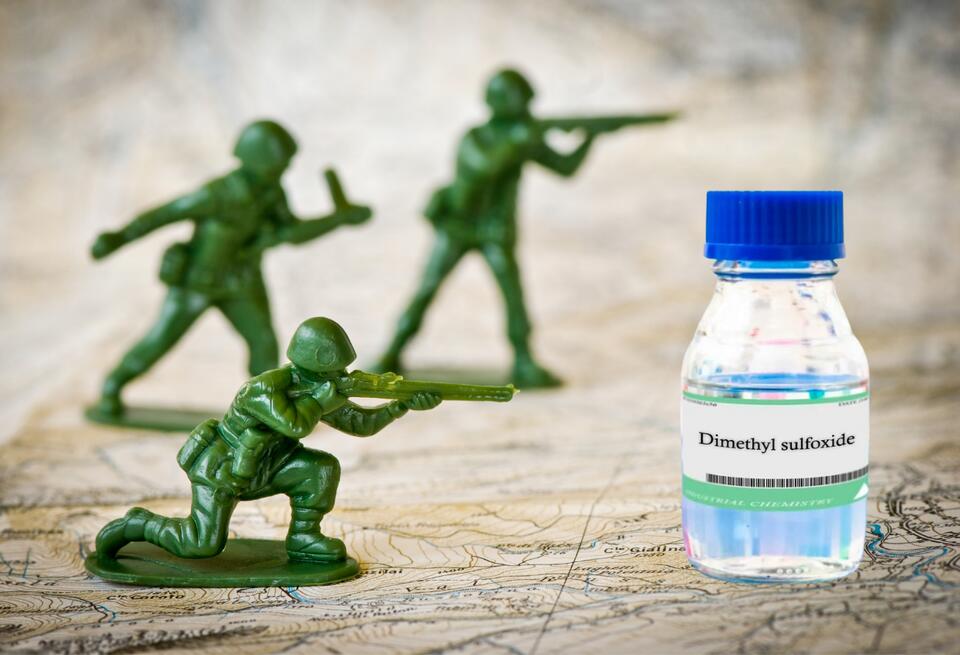 The Painkiller Big Pharma Buried
