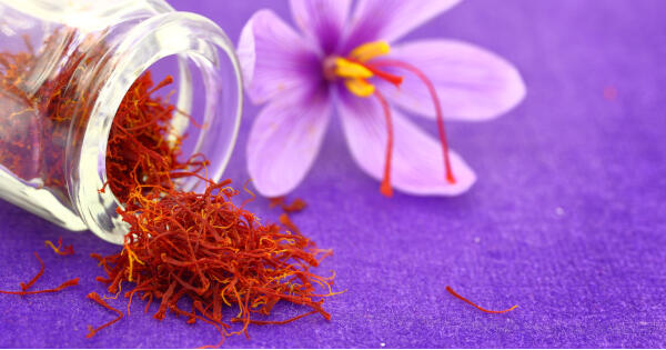 Saffron vs Prozac: The Plot Twist No One Saw Coming