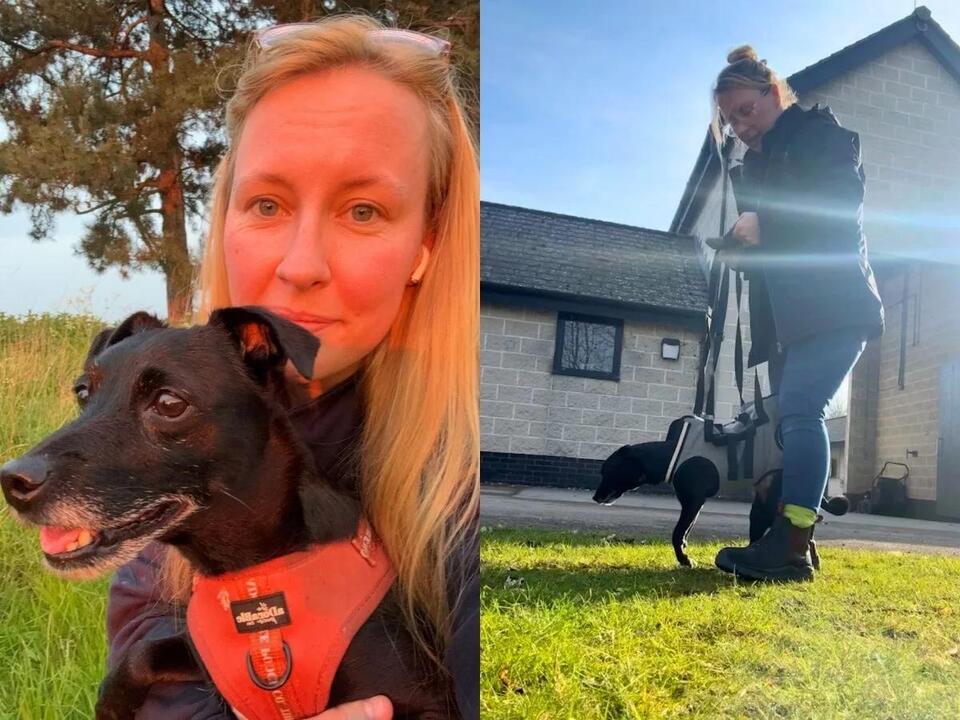 This Dog Mom Carried Her Paralyzed Pup for Months