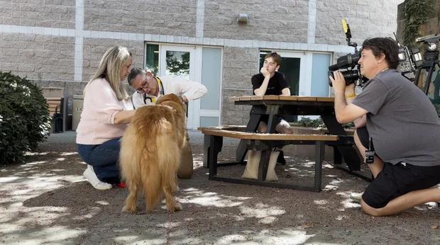 Golden Retriever Beats Terminal Cancer?!
