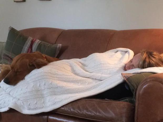 Golden Retriever Beats Terminal Cancer?!