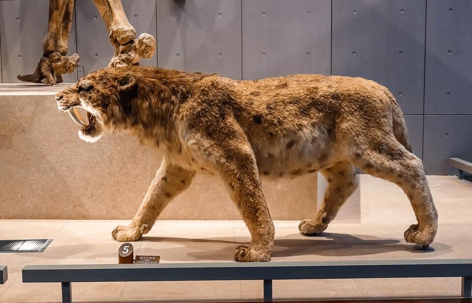 These extinct animals were WILD