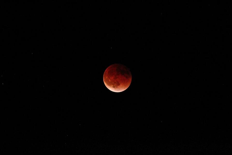 Blood Moon Party: 7 Billion Invited!