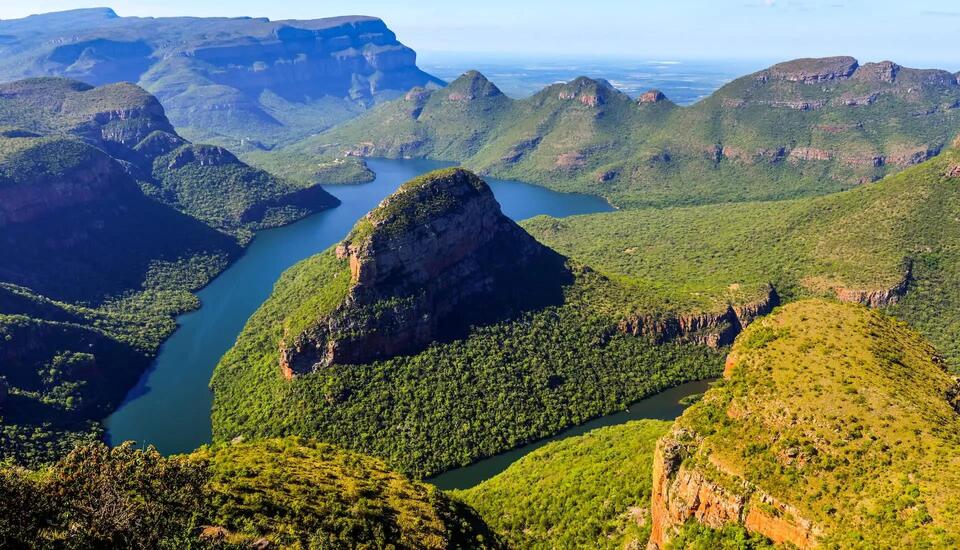 Rare South African flower returns after 70 years