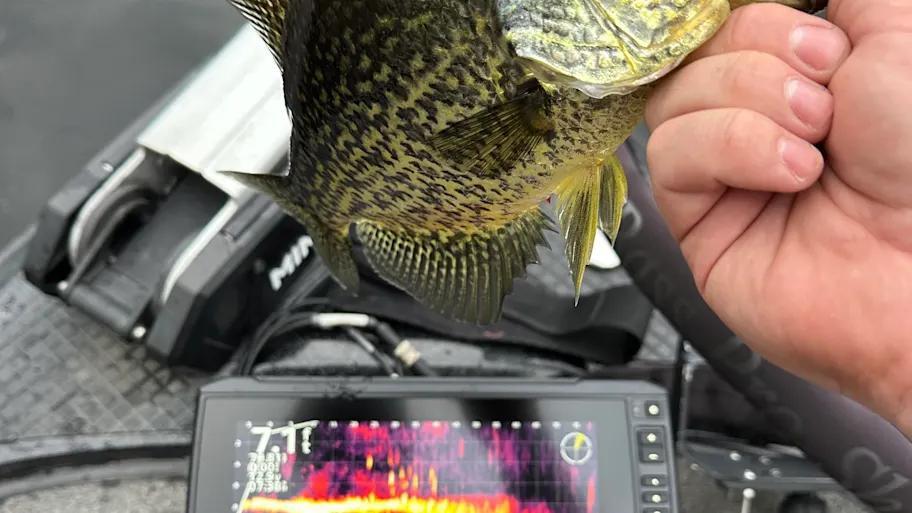 Crappie Slabs Hiding in Tiny Lakes? Yup!