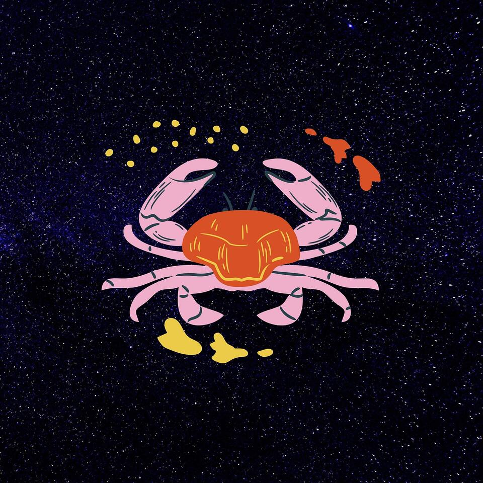 5 Zodiac Signs Ready to Break Free in 2025
