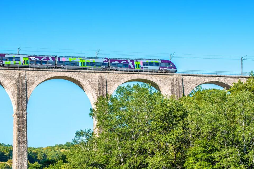 Cat’s Meow Costs Nearly £100 on French Train