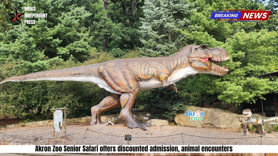 Akron Zoo’s Senior Safari brings big perks for seniors
