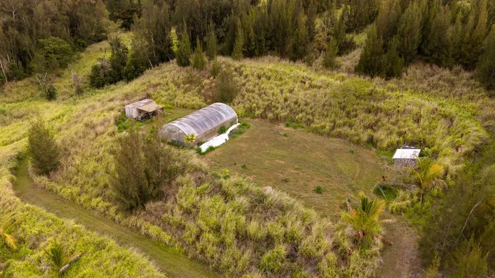 Would You Buy Roseanne’s Hawaiian Farm?