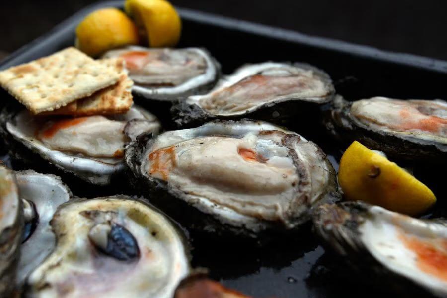 Flesh-eating bacteria in oysters: What you need to know
