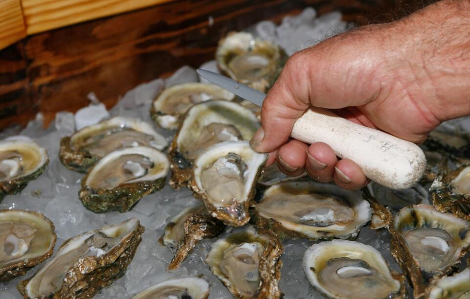 Flesh-eating bacteria in oysters: What you need to know
