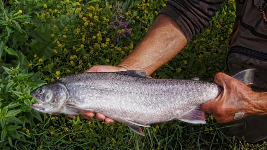 Secrets to finding untouched trout lakes