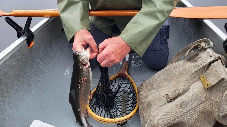 Secrets to finding untouched trout lakes
