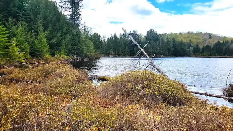 Secrets to finding untouched trout lakes