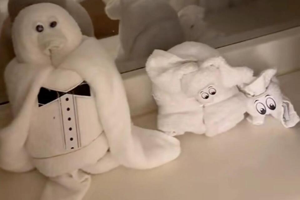 Cruise Towel Animal Secret Exposed!