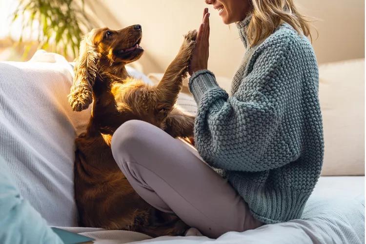 Family drama erupts over rescue dog ownership