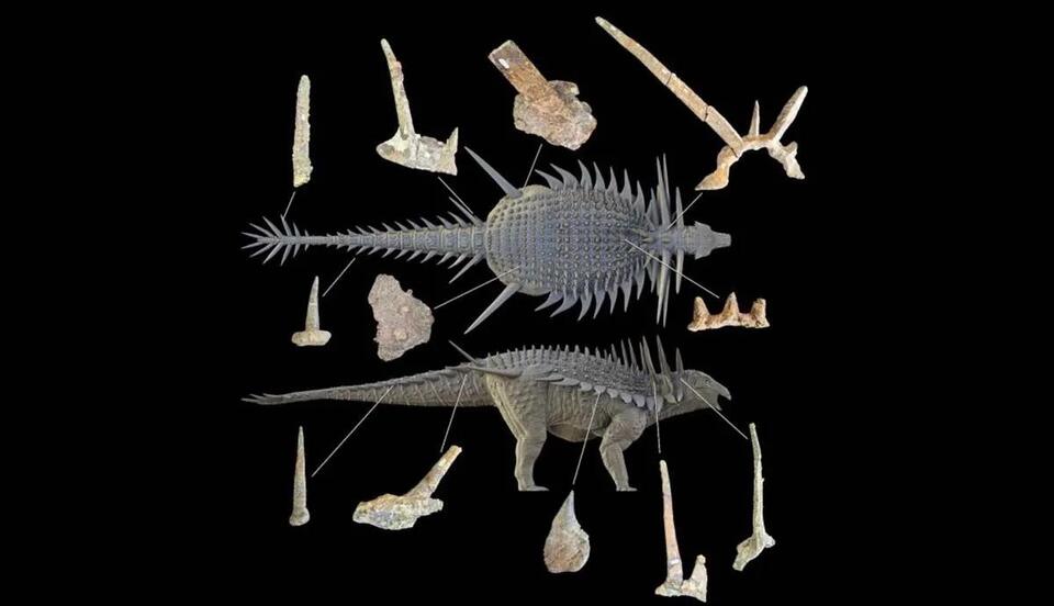 Dino Armor Just Got Way Weirder