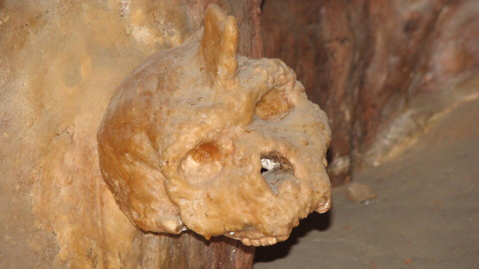 Ancient Skull Mystery Finally Solved!