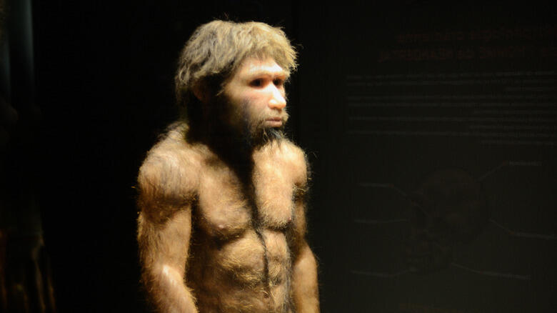 Ancient Skull Mystery Finally Solved!