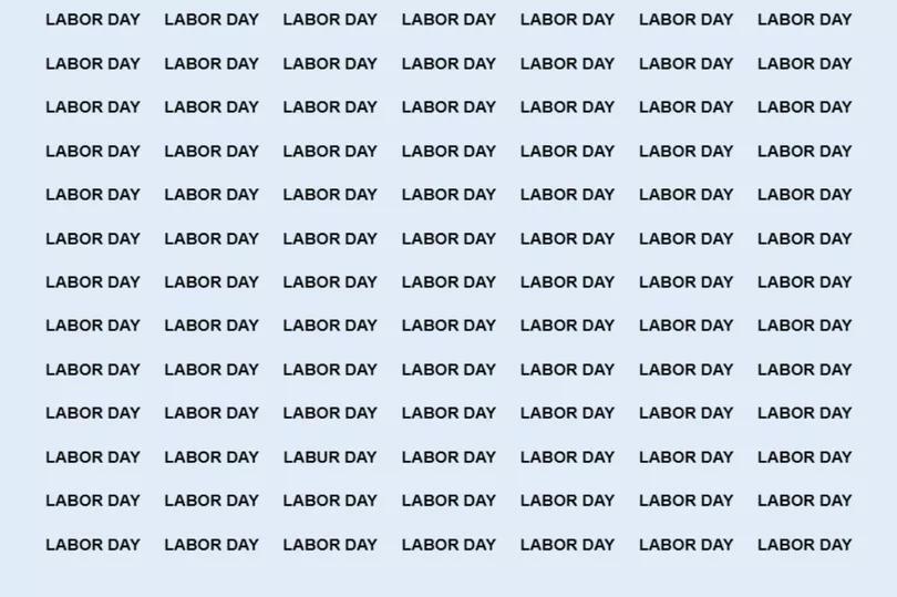 Labor Day Puzzle: Did You Spot the Glitch?