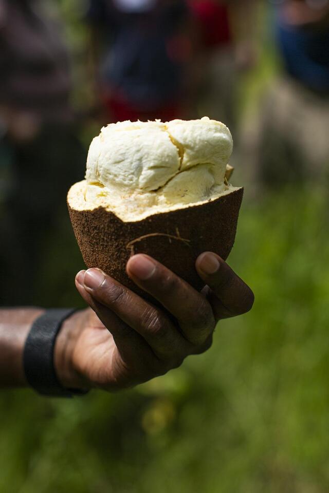 Puerto Rico’s durian craze: Love it or hate it?