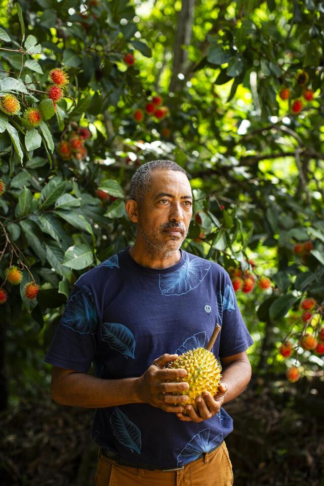 Puerto Rico’s durian craze: Love it or hate it?
