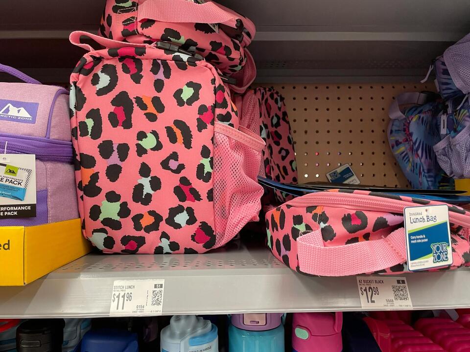 Walmart vs Dollar Tree: Back-to-school showdown