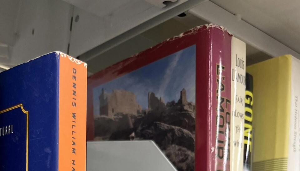 Thrift Store Book Prices Are Wild Now