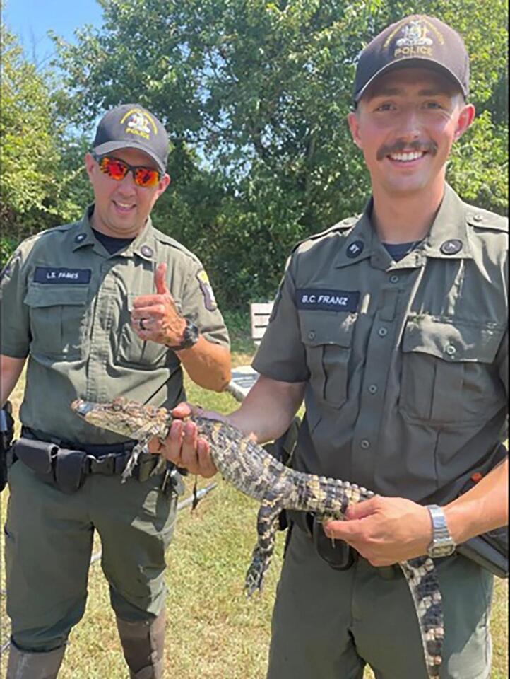 Alligator found in Long Island pond sparks concern