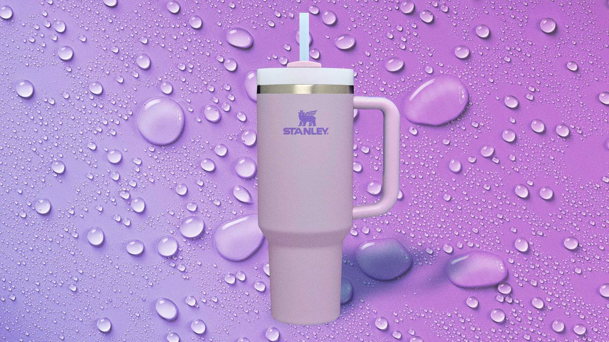 Stanley Tumbler: Indestructible or Just TikTok Hype?