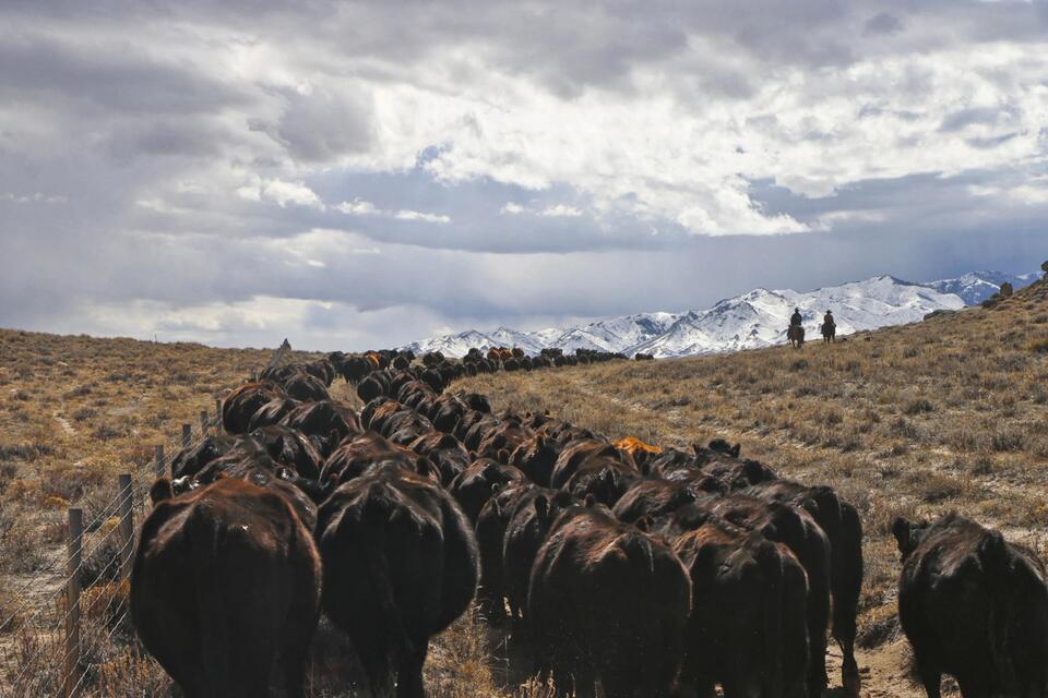 Why Rich Folks Are Buying Up Ranches