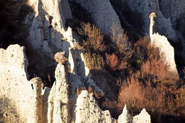 Grand Canyon hacks for a stress-free trip