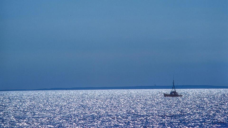 A rare whale sighting sparks hope for our oceans