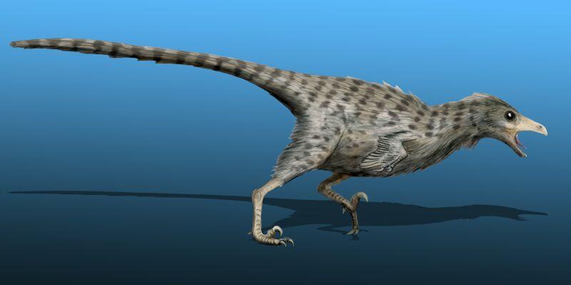I Studied Dinosaurs. I Felt Small Too