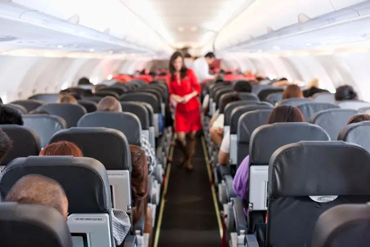 Plane Flirtation Gone Wild
