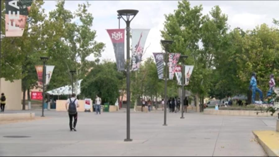 UNM rooftop garden grows big ideas