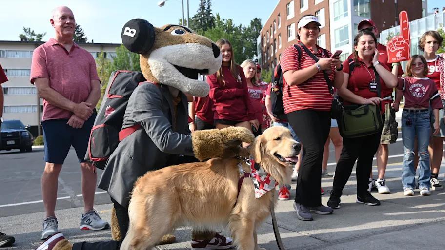 Cougars hold #13 Georgia to a thrilling draw