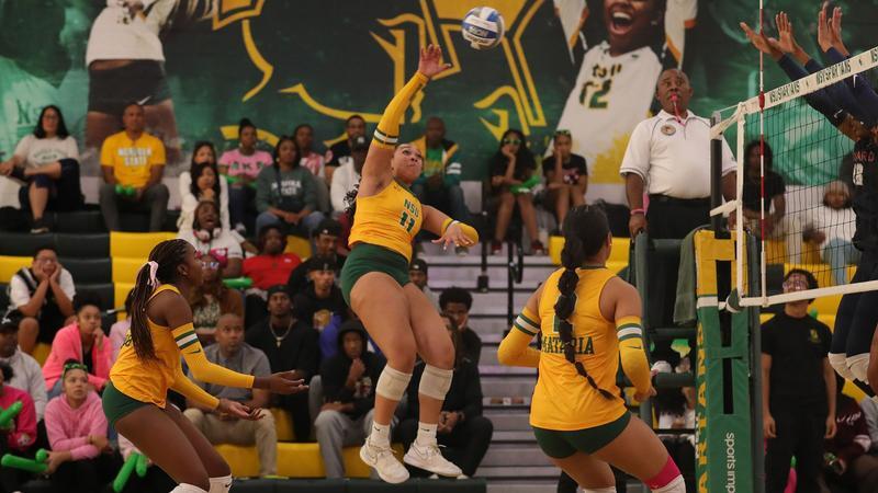 Spartans push Florida Gators in tough volleyball clash