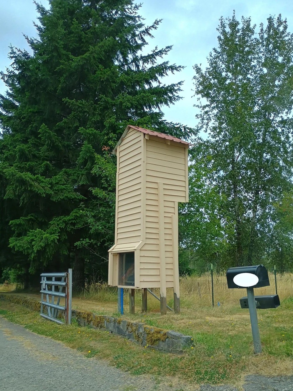 My wife and I are losing our minds over this mystery structure. What is it?! 🤯