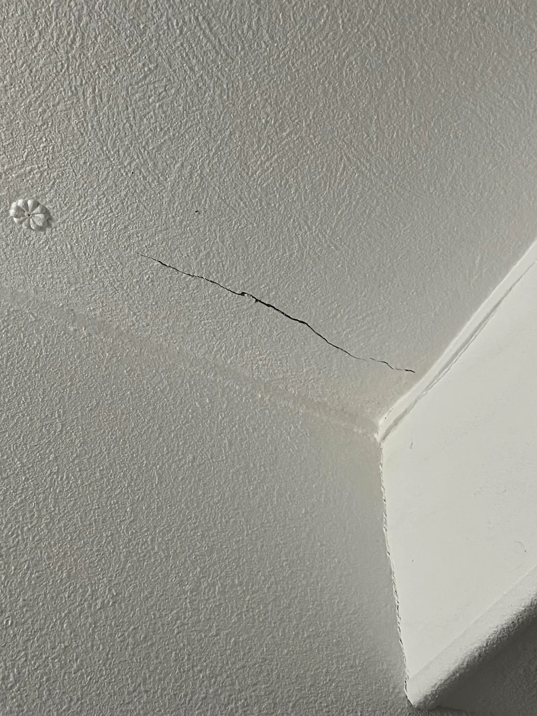 My grandma's house is falling apart but she refuses to leave 😵‍💫😵‍💫😵‍💫