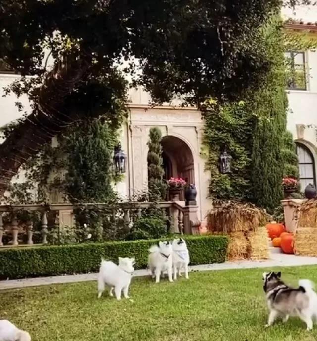 Ozzy's Will Drama: Who Gets What? 🤑