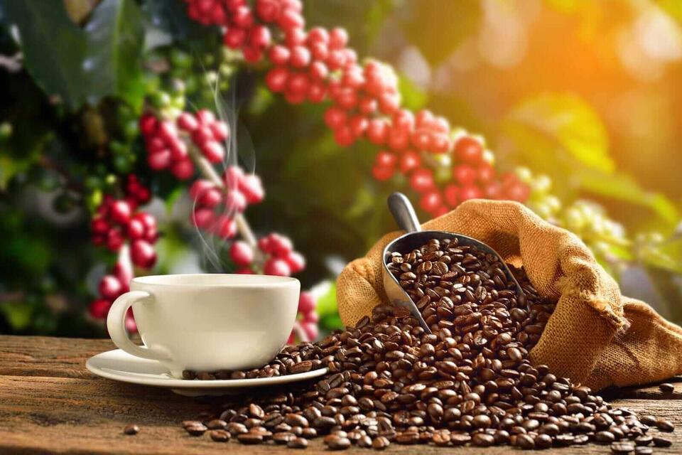 Coffee Prices Drop: Time to Stock Up?