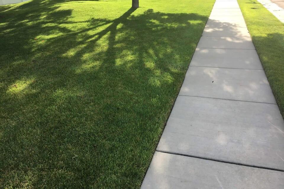 Chicago’s fake grass mystery: Why water turf?