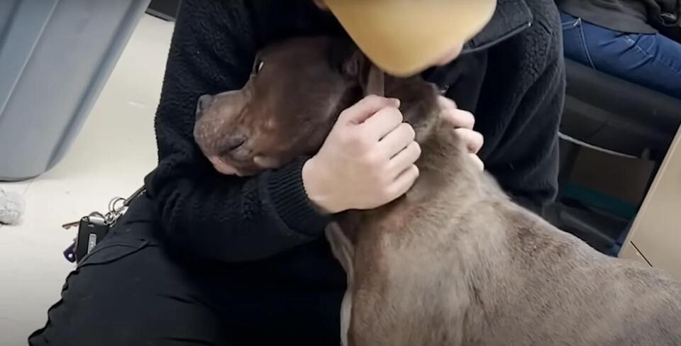 From chains to cuddles: Nico’s new life