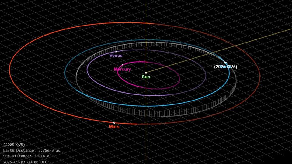 Asteroids Buzzing Earth—One’s Airplane-Sized!