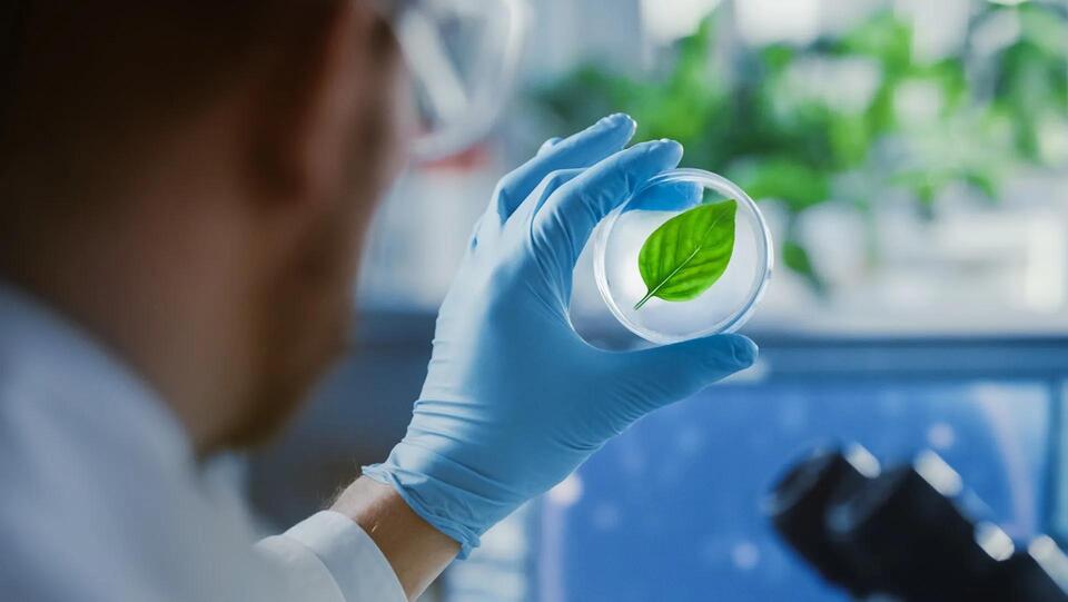 Artificial Photosynthesis Just Got Real