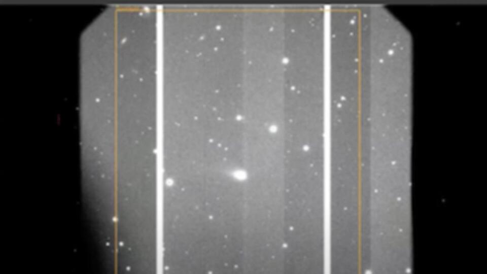 Caught a Comet from Another Star!