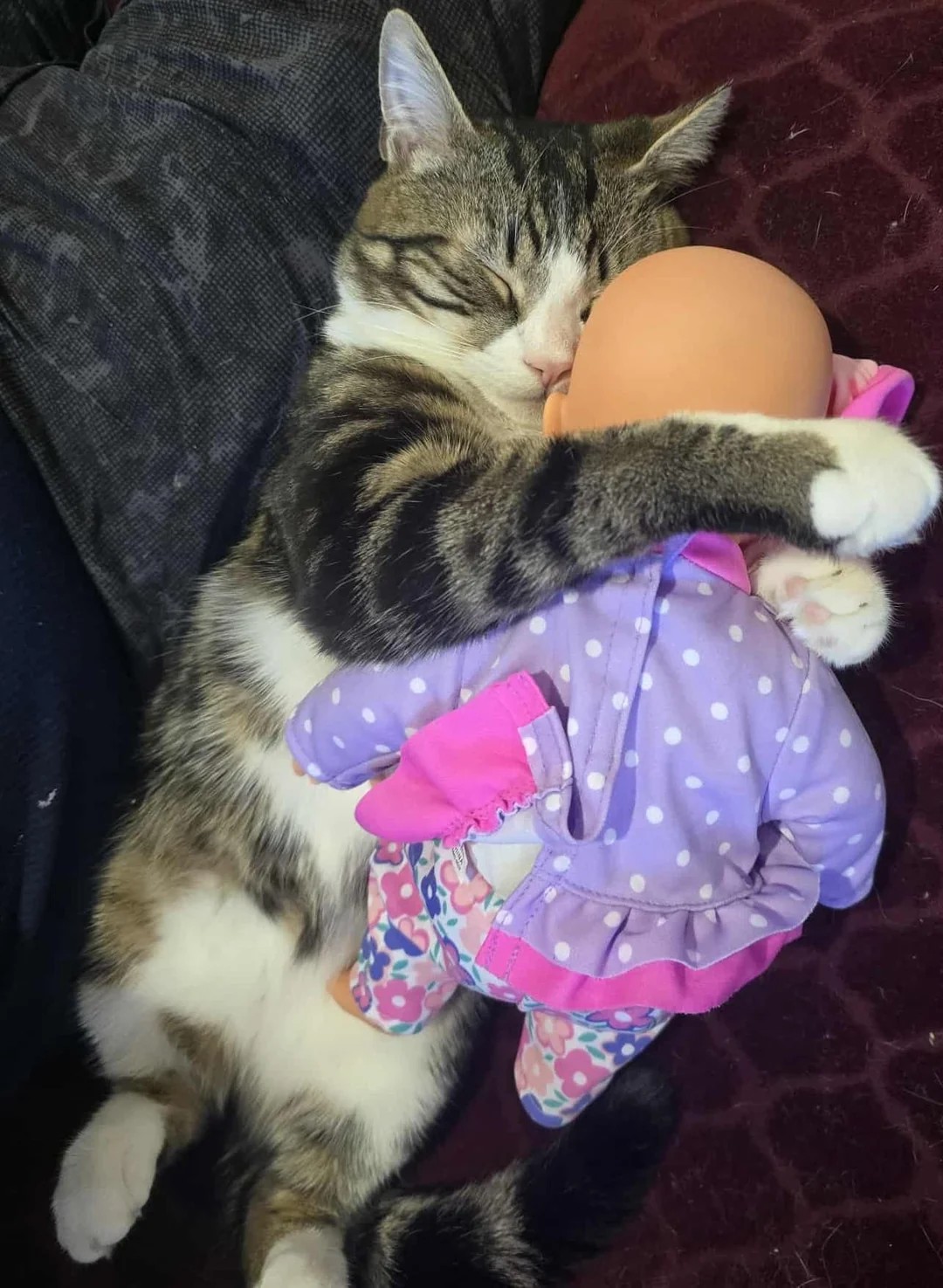 Kitten + Doll = Nap Goals 🐾🛏️